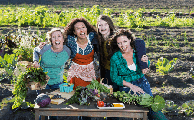 From Farm to Table: Extending Produce Freshness with Oddy Uniwraps - Pluugin Store