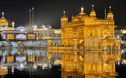 Taste of Punjab: Delightful Recipes with Puress Mustard Oil - Pluugin Store