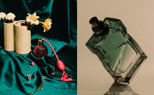 ELEVATE YOUR EVERYDAY WITH WPC - Pluugin Store
