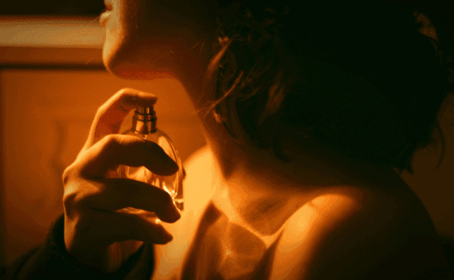 Celebrating Freedom and Fragrance with WPC - Pluugin Store